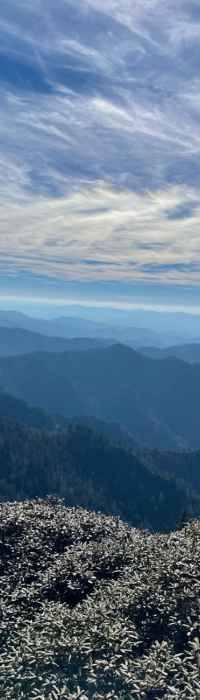 view of the smokies