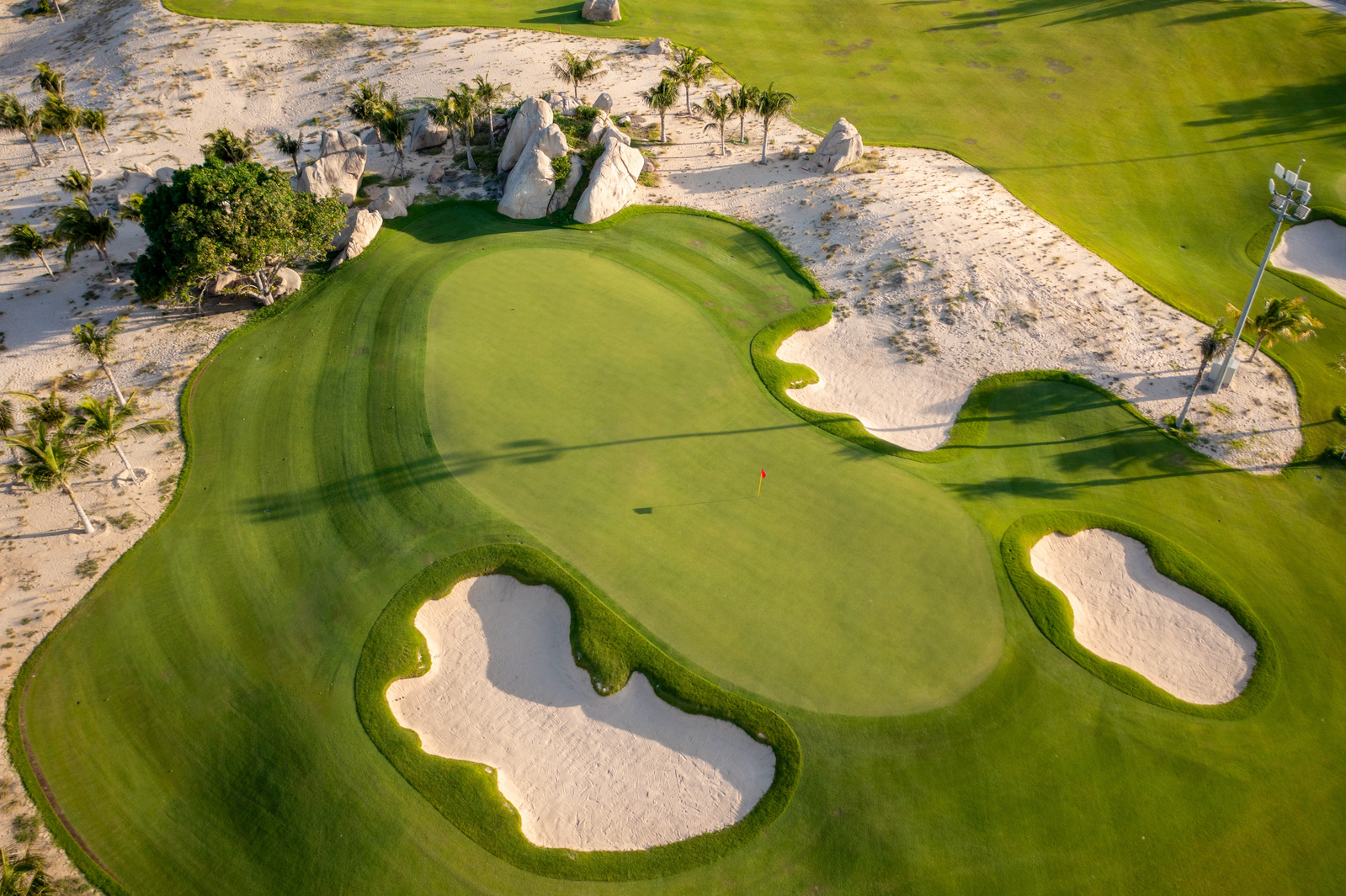 golf green surrounded by bunkers