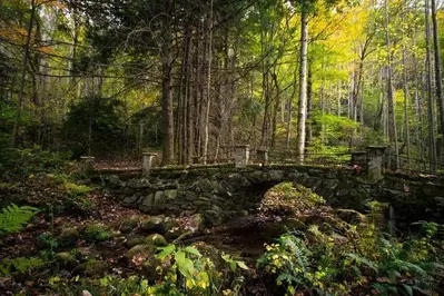 Elkmont in the Great Smoky Mountains National Park.