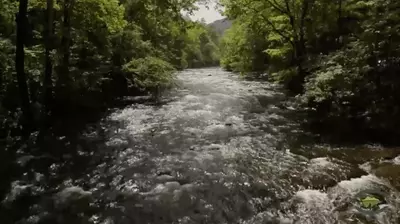 The Little River at Metcalf Bottoms in the Smoky Mountains.