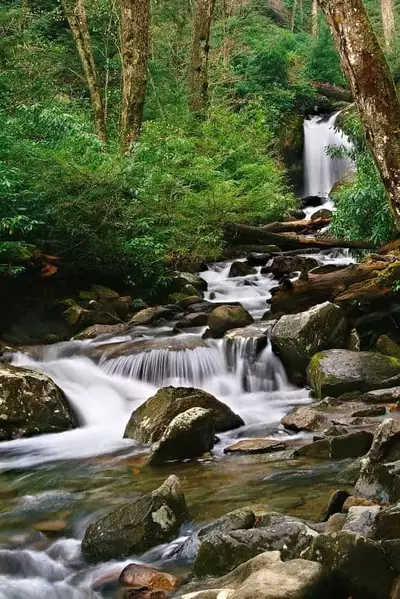 Beautiful waterfall along the Trillium Gap Trail.