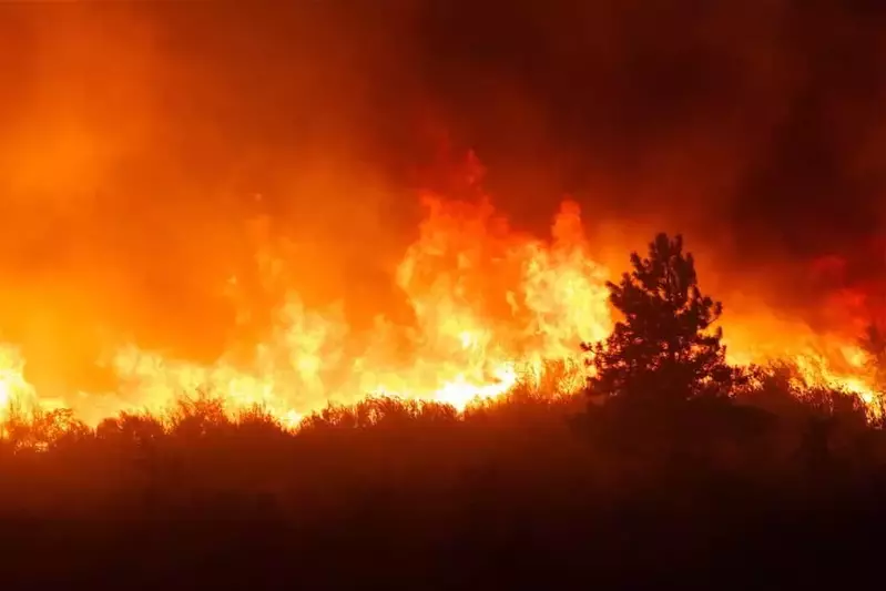 A forest fire burning the Smoky Mountain scenery.