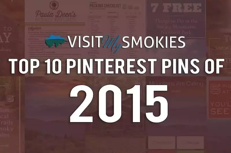 Top 10 Pinterest Pins of 2015
