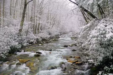 Big Creek covered in snow in the Smoky Mountains