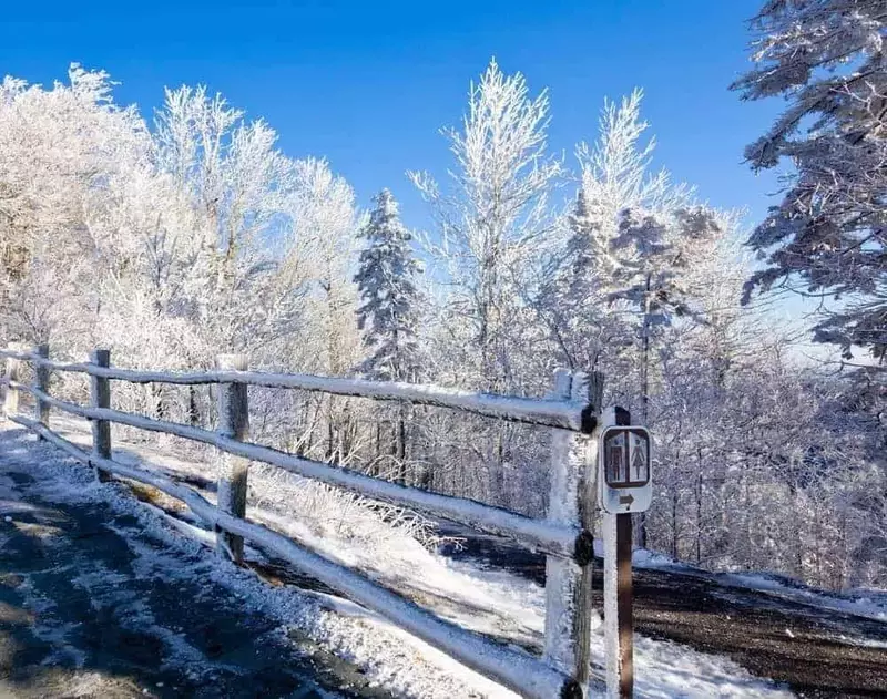 Snow along a fenceline in the Smoky Mountains