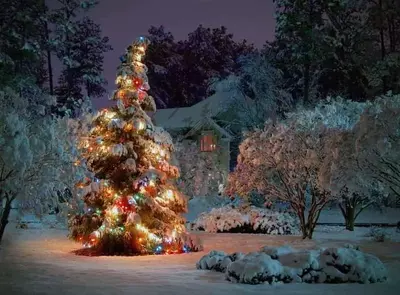 A shining Christmas tree with a snowy backdrop.