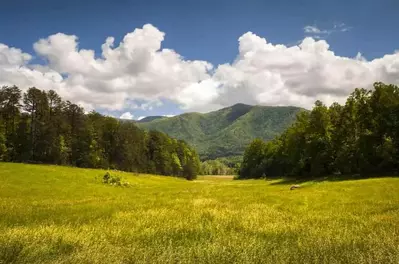 View of a field overlooking the Great Smoky Mountains National Park in the spring