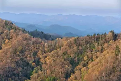 View from Newfound Gap Road
