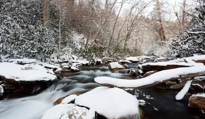 snow covered river in the Smoky Mountains