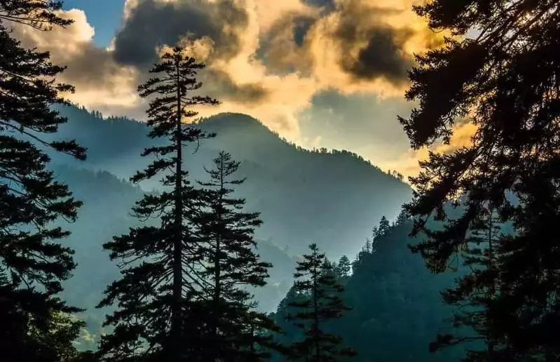 Smoky Mountain view through the trees
