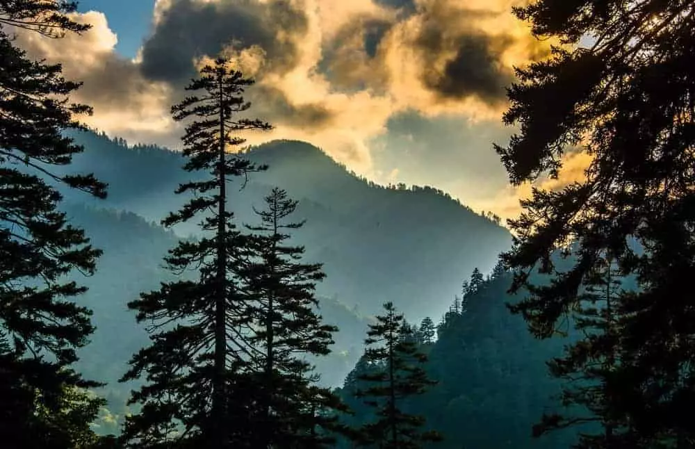 Smoky Mountain view through the trees