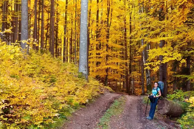 fall hiking in the Smoky Mountains