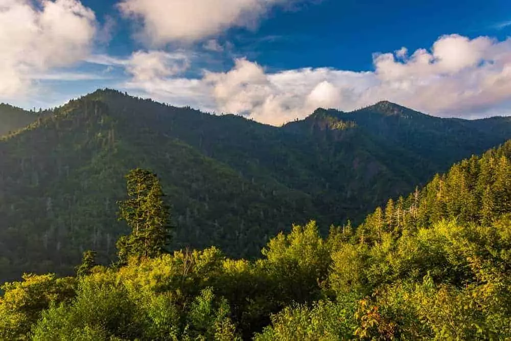 View of the Smoky Mountains