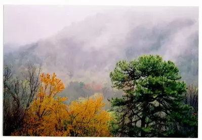 Smoky Mountains fog in fall
