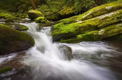 Waterfall on the Roaring Fork Motor Nature Trail