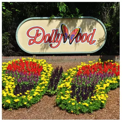 Dollywood sign with butterfly made of flowers at entrance to park