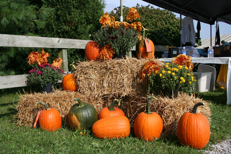 With,Flowers,,Pumpkins,And,Straw