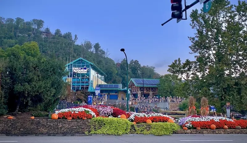 Ripley's Aquarium in Gatlinburg