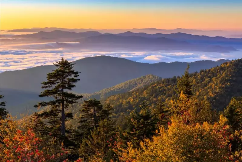 fall foliage at sunrise in the Smokies