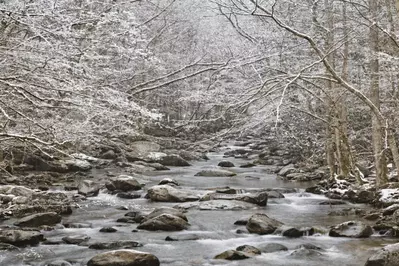 winter stream smoky mountains