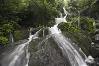 Place of a thousand drips is one of the roadside waterfalls in the Smoky Mountains