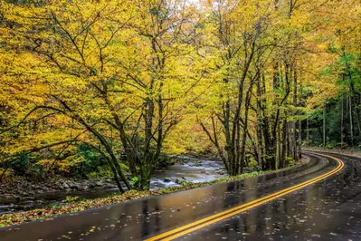 road running next to the Little River