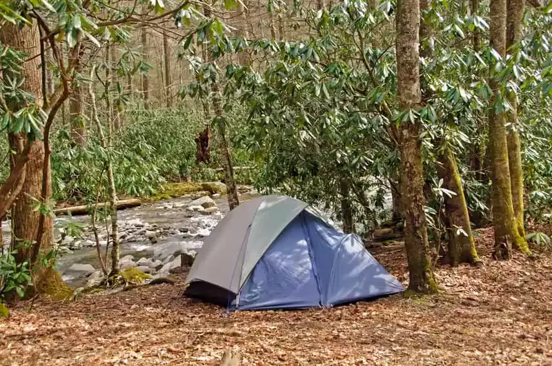 Campsite,On,Cabin,Creek,In,The,Great,Smoky,Mountains