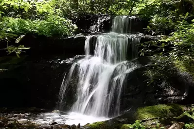 road turn branch falls