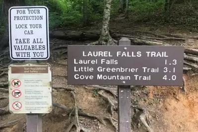 laurel falls trail sign