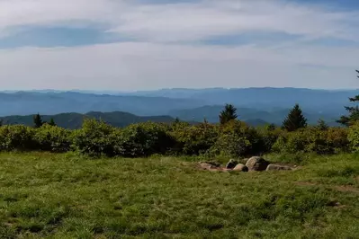 andrews bald is one of the easy hikes in the smoky mountains