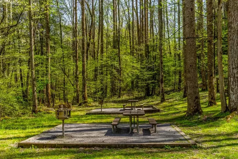 picnic area in the smoky mountains