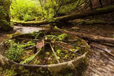 steam engine in Injun Creek