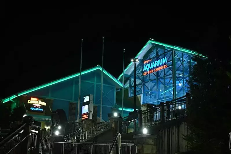 ripley's aquarium at night