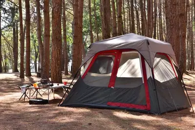 camping in the smoky mountains