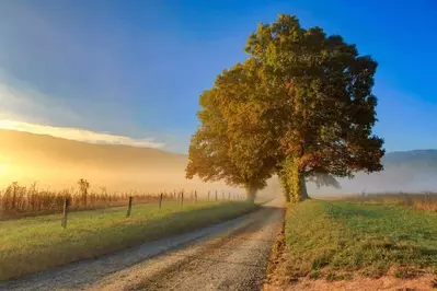 Cades Cove road in the Smoky Mountains