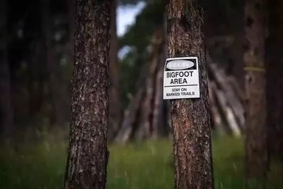 Warning Bigfoot Area sign in the woods