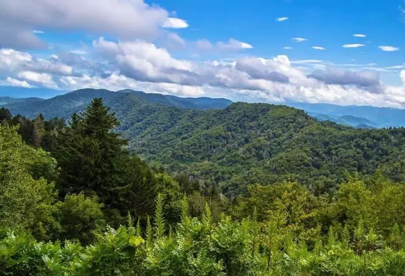 spring view of the smoky mountains