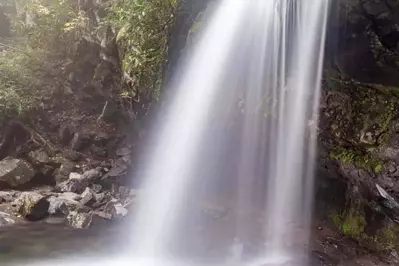Grotto Falls in the Smoky Mountains