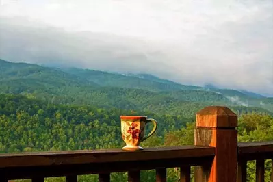 view from a smoky mountain cabin