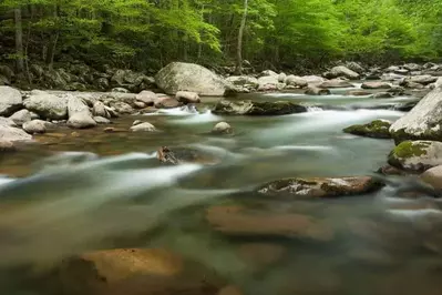 Beautiful view of the Little Pigeon River in Greenbrier in the Smoky Mountains.