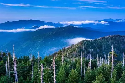 Stunning photograph of the mountains taken from Clingmans Dome.
