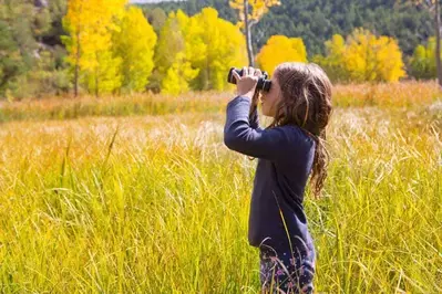 Little girl exploring nature in the Smoky Mountains