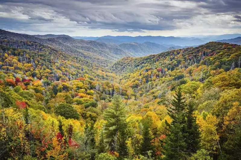 Wears Valley in the Smoky Mountains