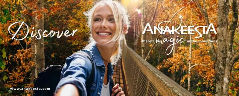 anakeesta_tree_canopy_walk-1