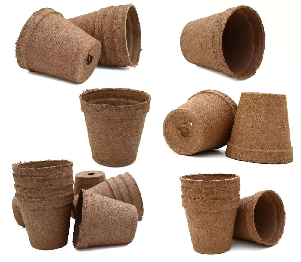 planters