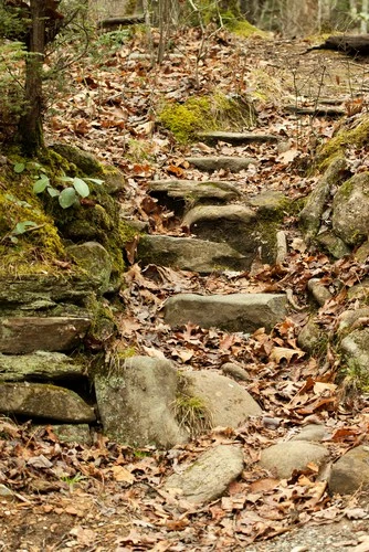 Smoky Mountain trail in fall