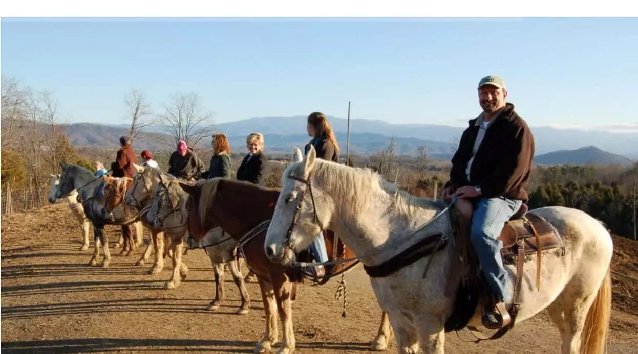 riding horses