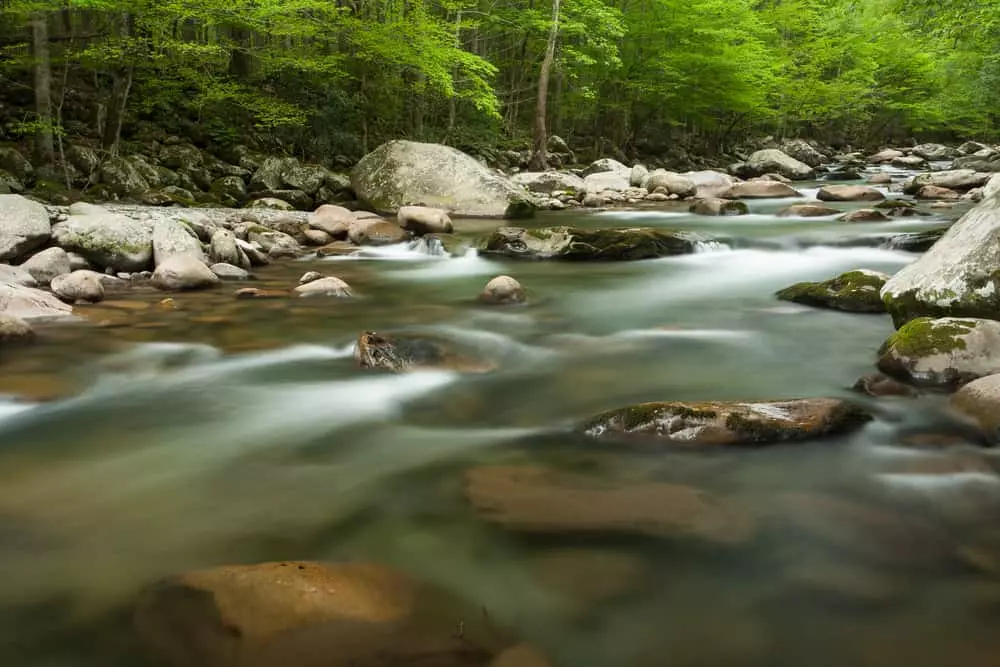 stream in the Smokies