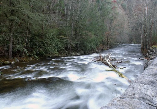 stream in the Smokies