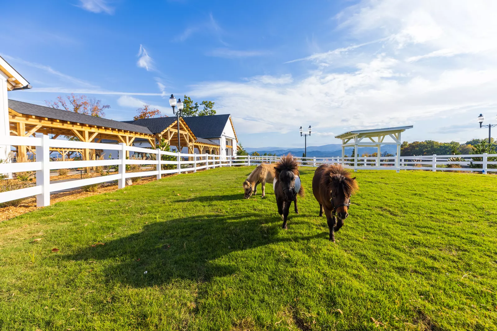 20221011_Skyland_Ranch_257